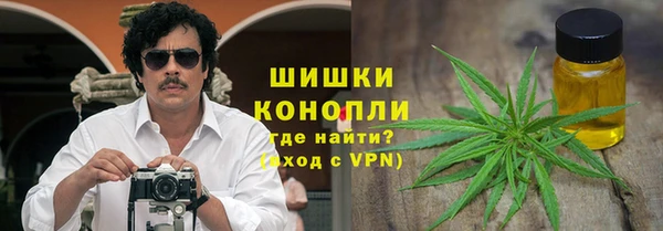 PSILOCYBIN Переславль-Залесский