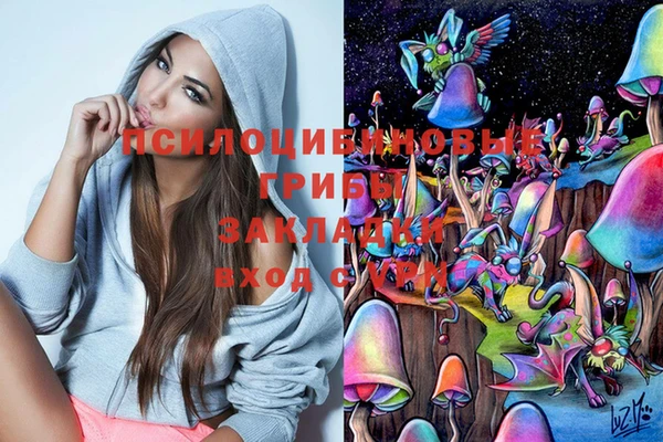 крисы Покров